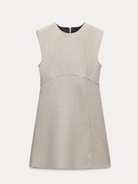 NWOT Zara shimmer mini dress